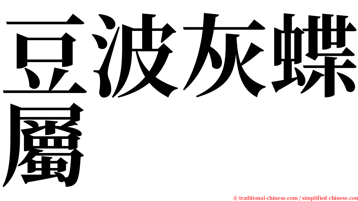 豆波灰蝶屬 serif font