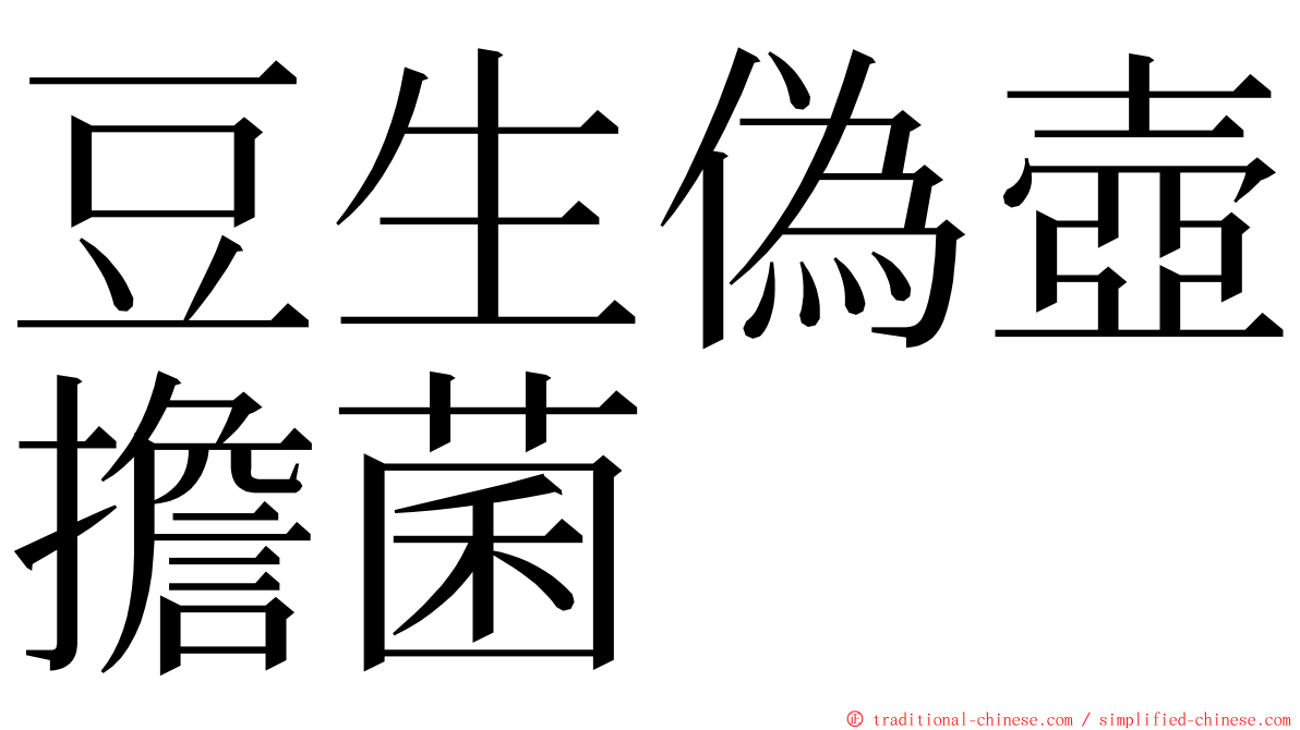 豆生偽壺擔菌 ming font