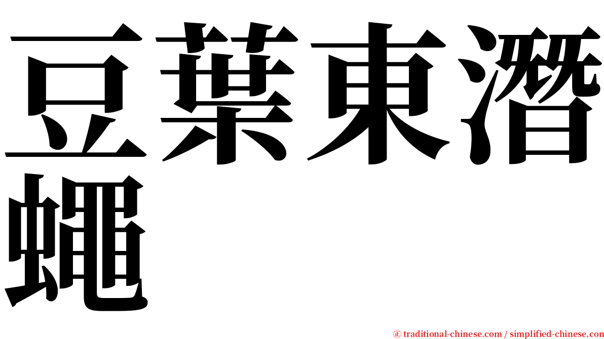 豆葉東潛蠅 serif font