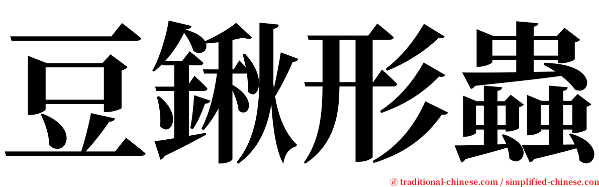 豆鍬形蟲 serif font