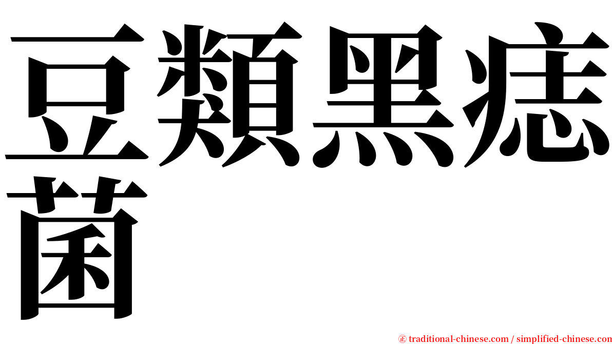 豆類黑痣菌 serif font