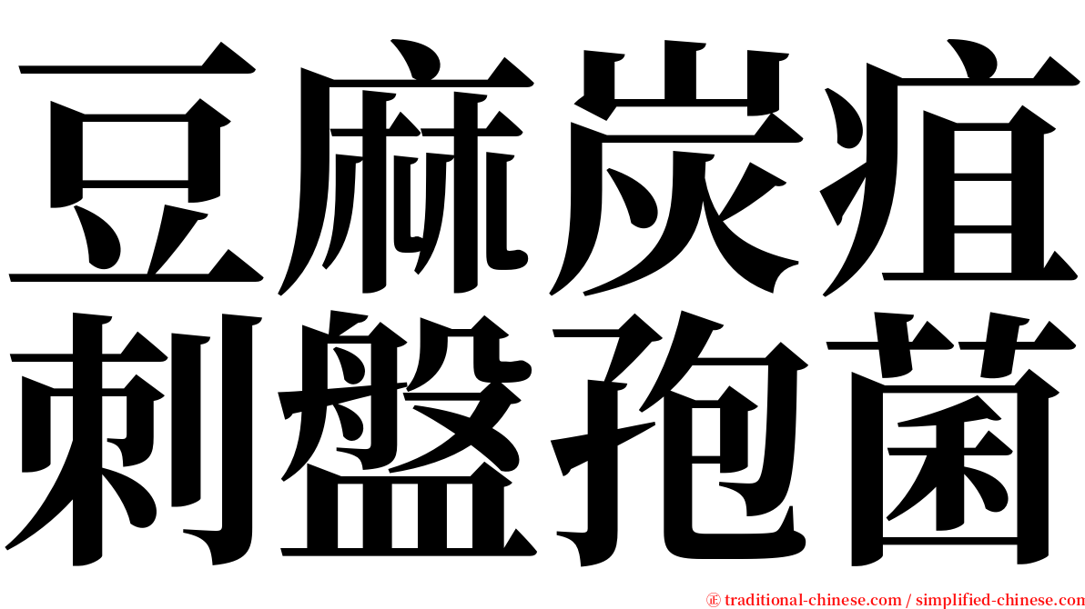 豆麻炭疽刺盤孢菌 serif font