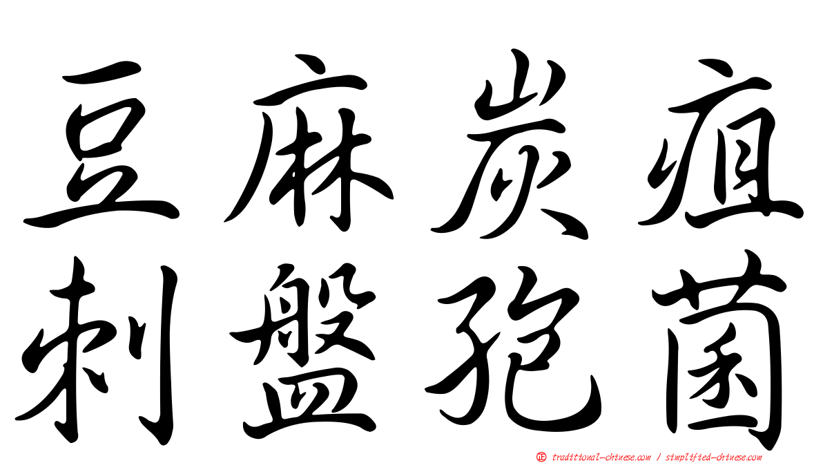 豆麻炭疽刺盤孢菌