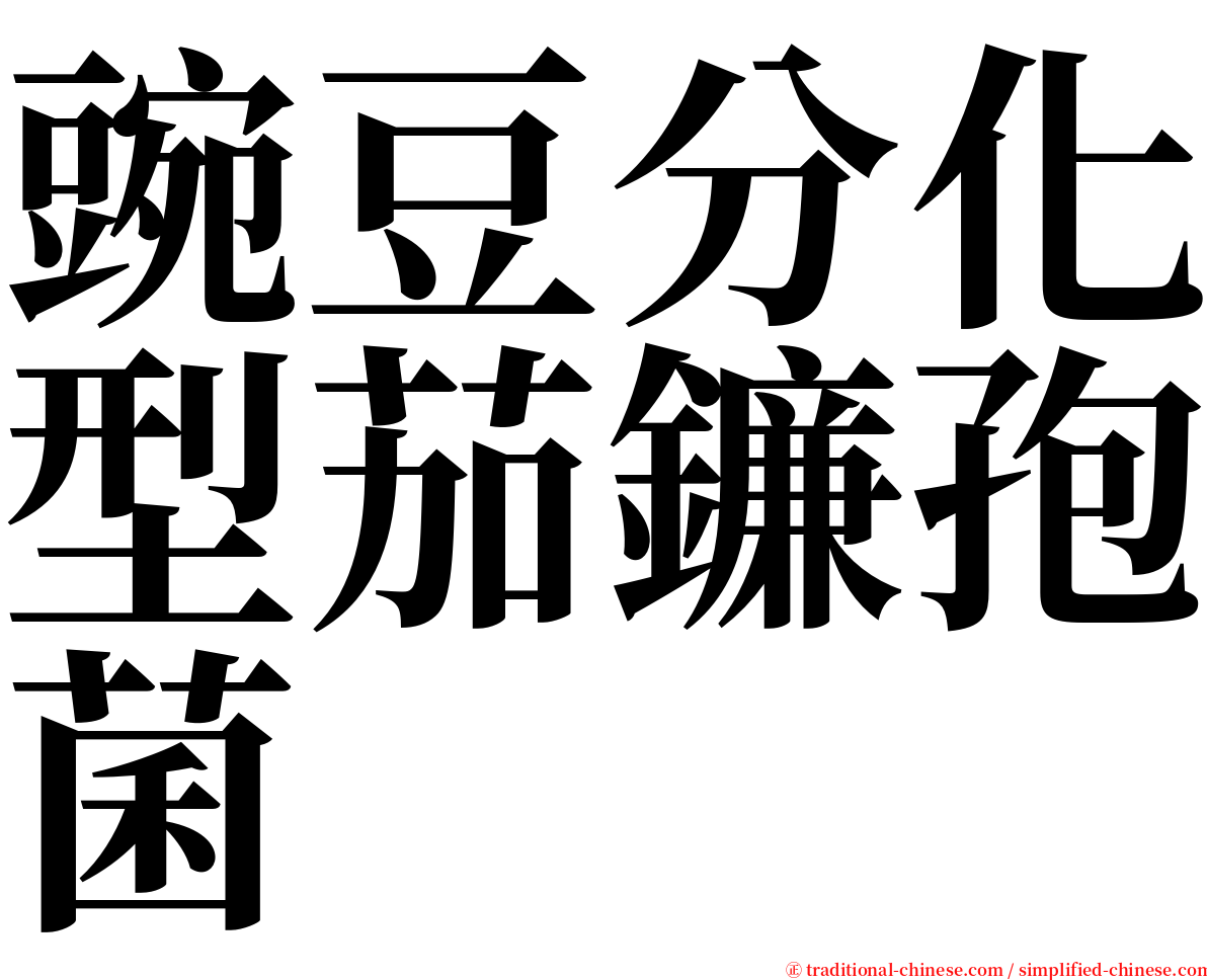 豌豆分化型茄鐮孢菌 serif font