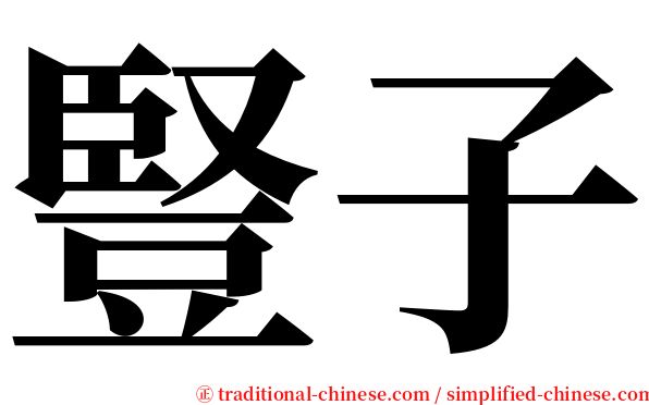 豎子 serif font