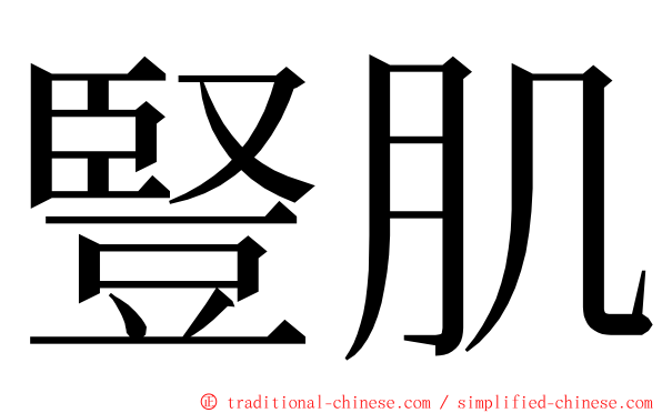 豎肌 ming font