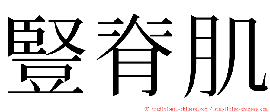 豎脊肌 ming font