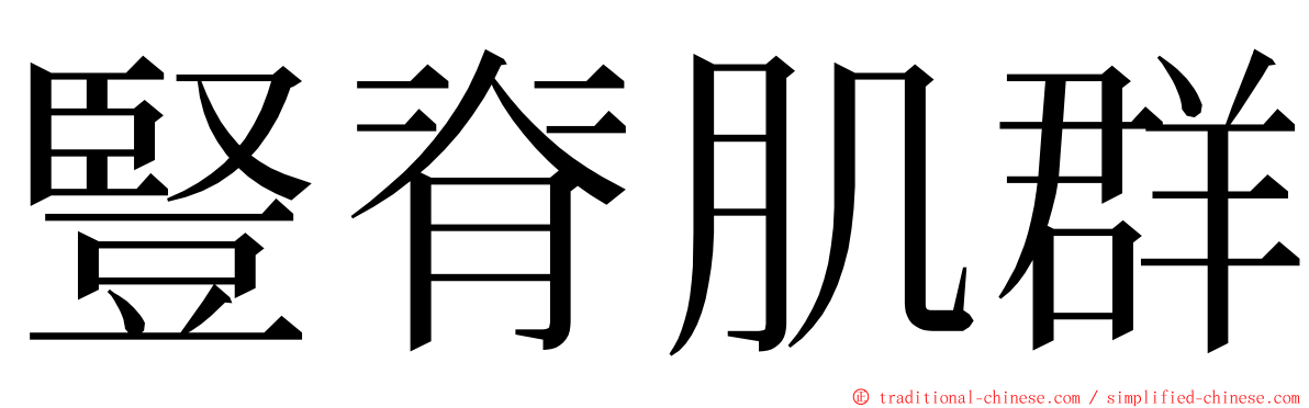 豎脊肌群 ming font