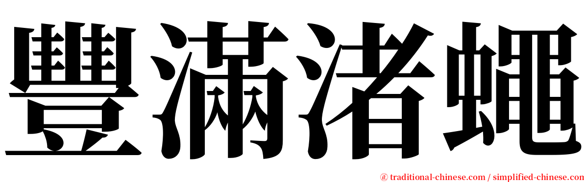 豐滿渚蠅 serif font