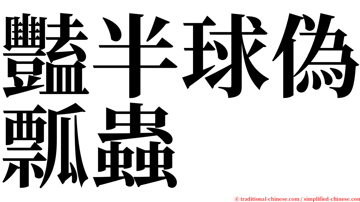 豔半球偽瓢蟲 serif font