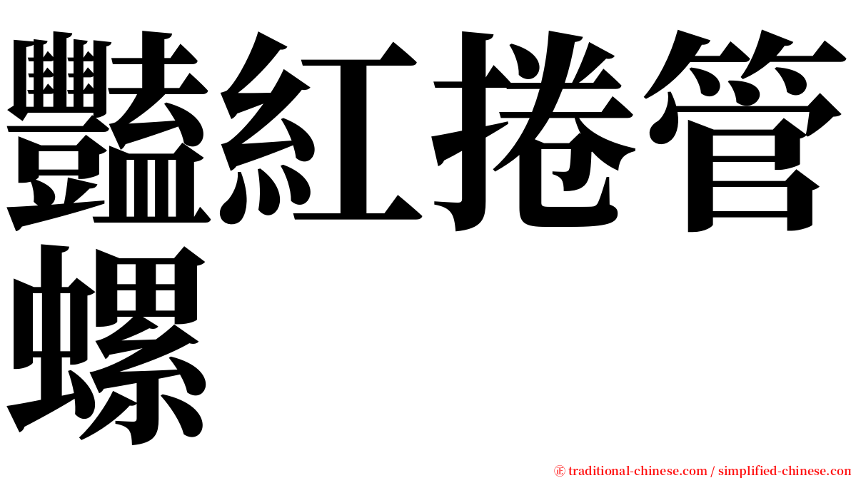 豔紅捲管螺 serif font