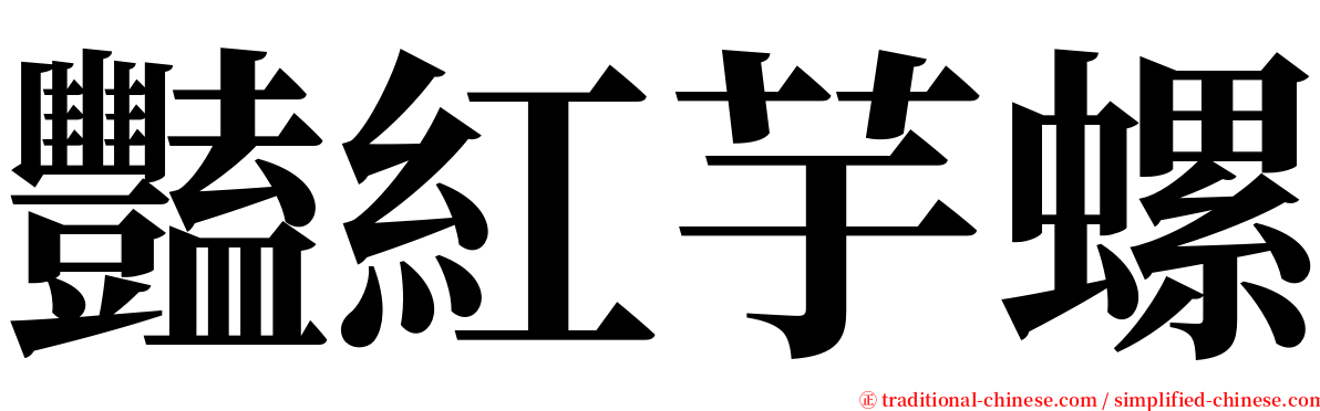 豔紅芋螺 serif font