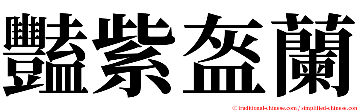 豔紫盔蘭 serif font