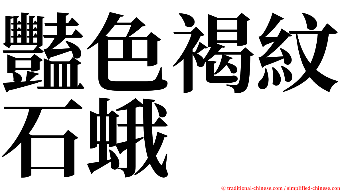 豔色褐紋石蛾 serif font