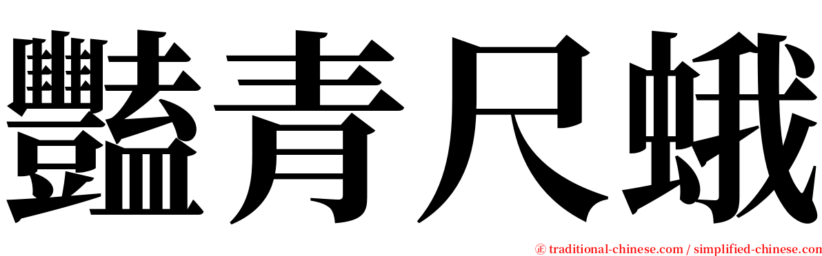 豔青尺蛾 serif font