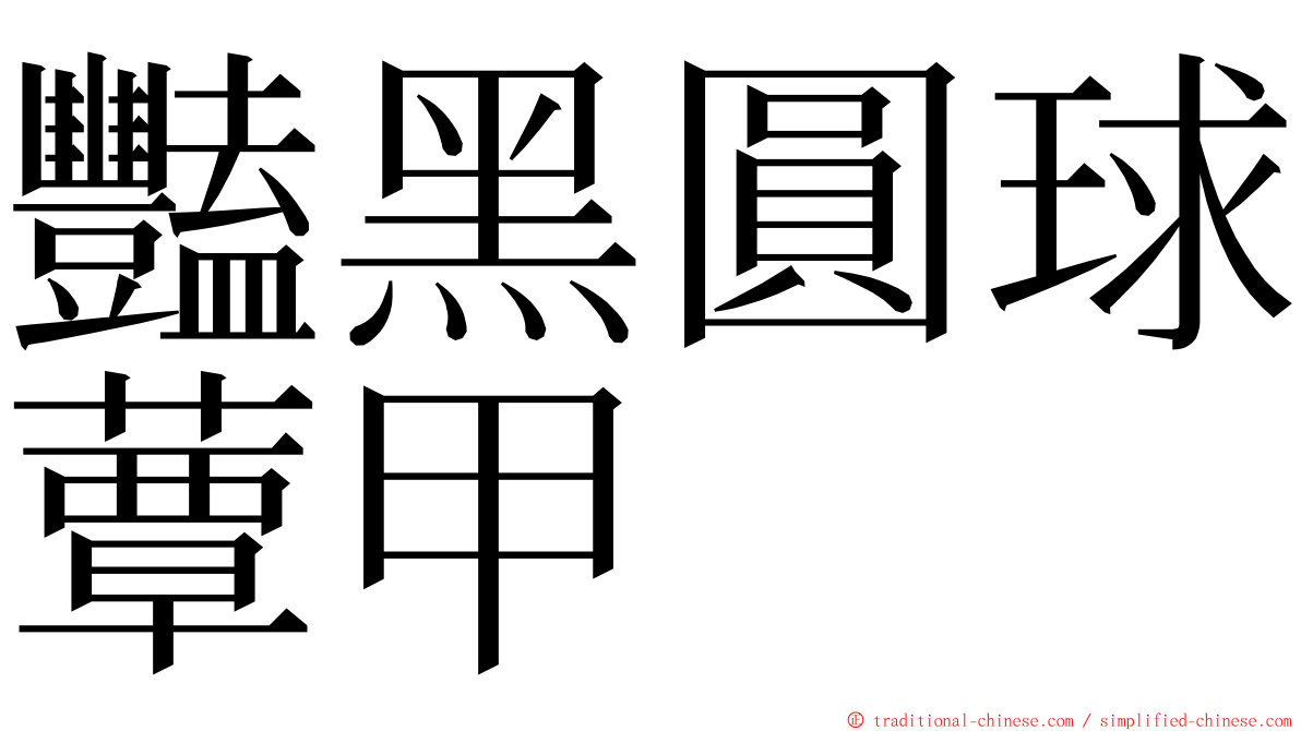 豔黑圓球蕈甲 ming font