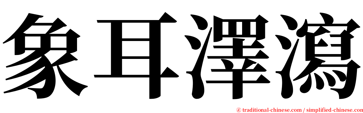 象耳澤瀉 serif font