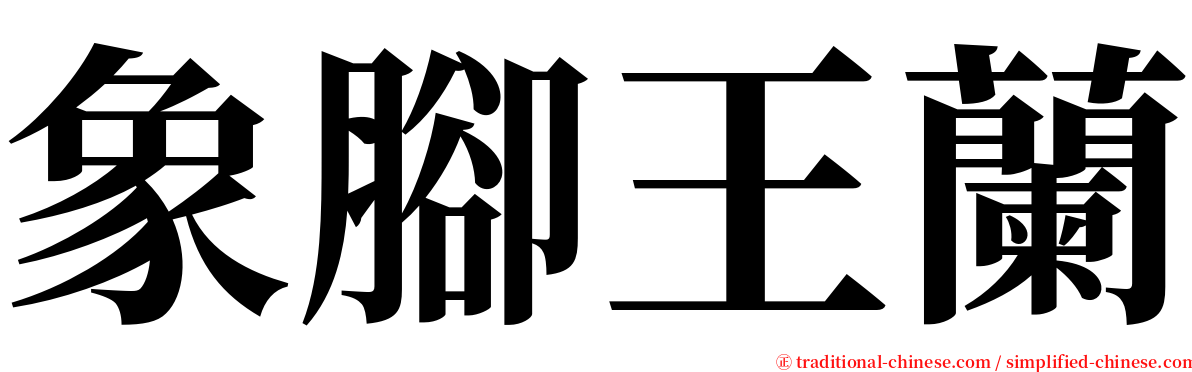 象腳王蘭 serif font