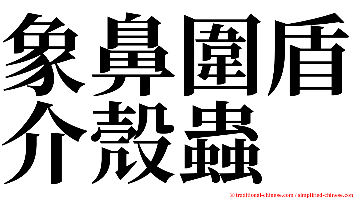 象鼻圍盾介殼蟲 serif font