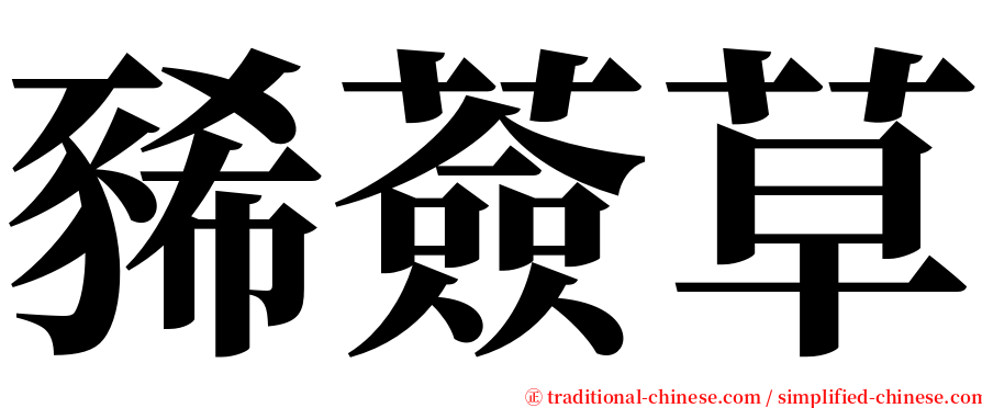 豨薟草 serif font