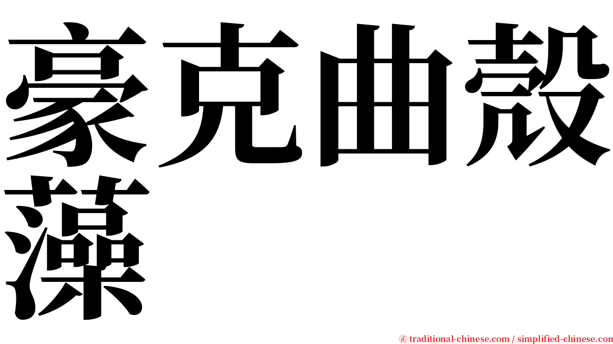 豪克曲殼藻 serif font