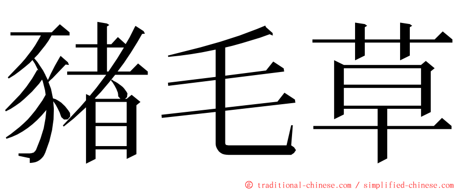 豬毛草 ming font