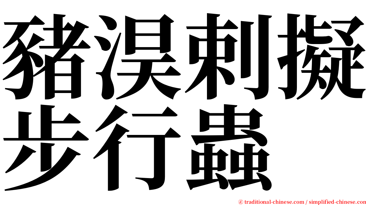 豬淏剌擬步行蟲 serif font