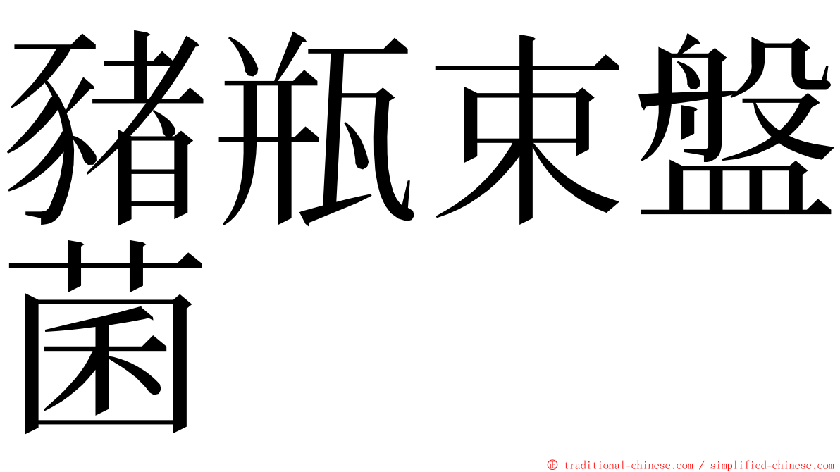 豬瓶束盤菌 ming font