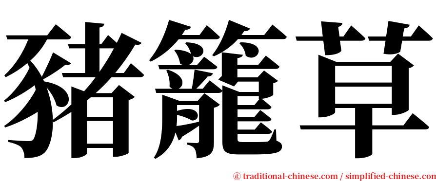 豬籠草 serif font