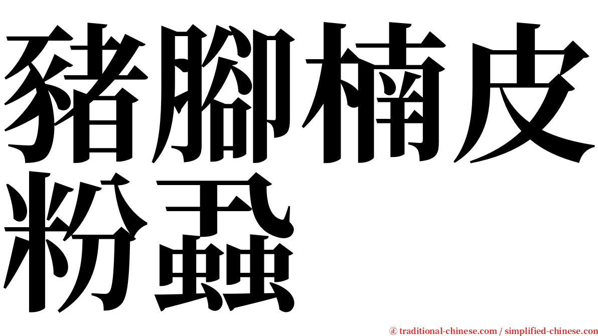 豬腳楠皮粉蝨 serif font