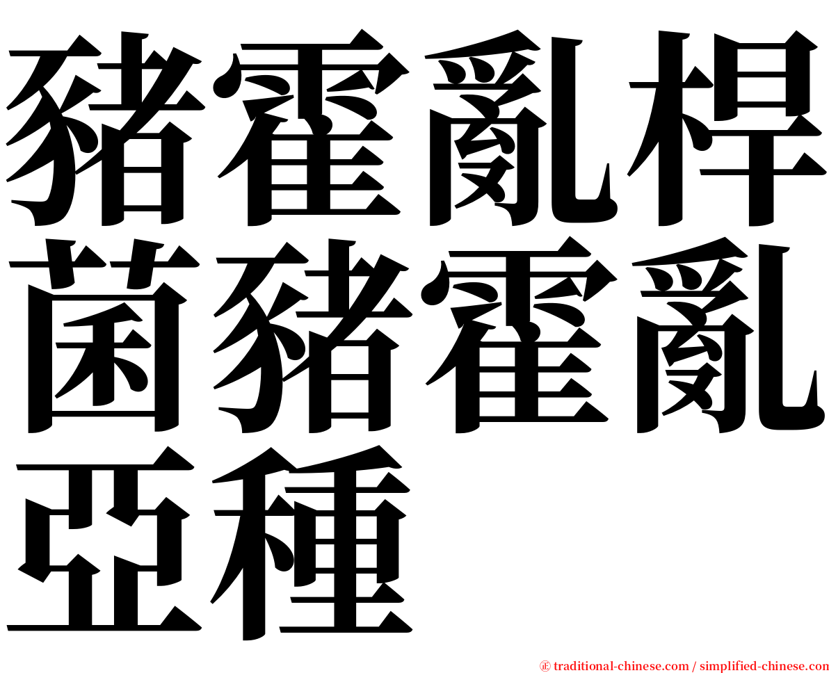 豬霍亂桿菌豬霍亂亞種 serif font