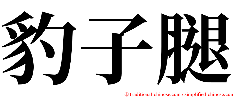 豹子腿 serif font