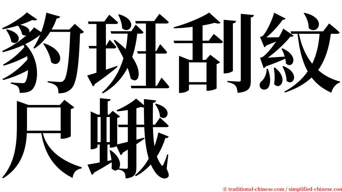 豹斑刮紋尺蛾 serif font