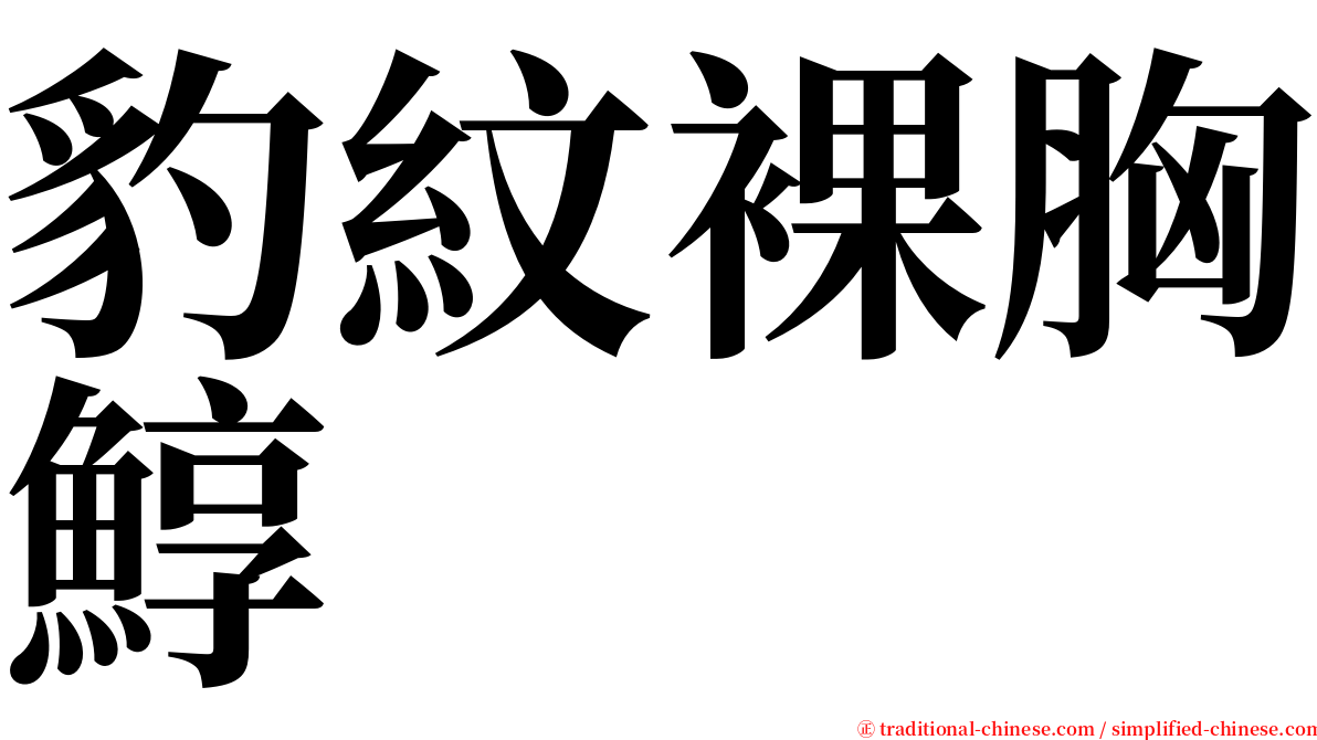 豹紋裸胸鯙 serif font