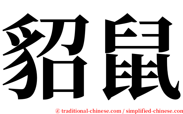 貂鼠 serif font