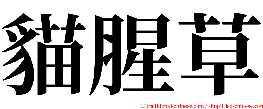 貓腥草 serif font