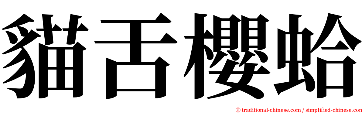貓舌櫻蛤 serif font