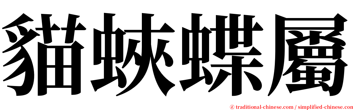 貓蛺蝶屬 serif font