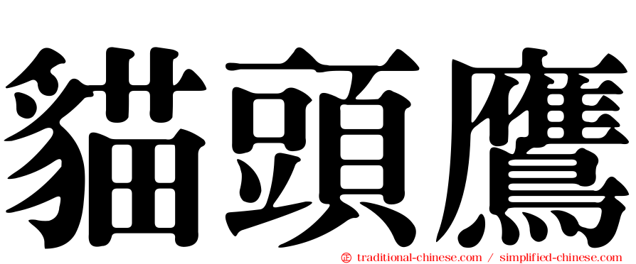 貓頭鷹