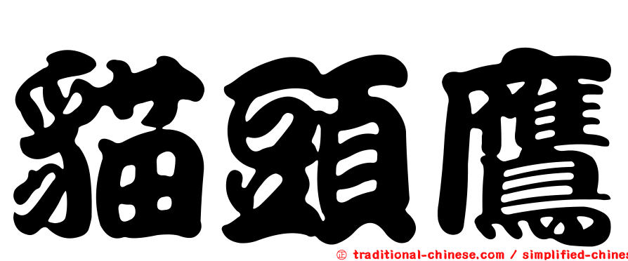 貓頭鷹