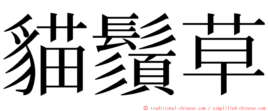 貓鬚草 ming font