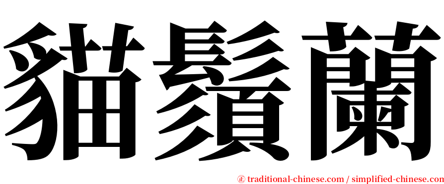 貓鬚蘭 serif font