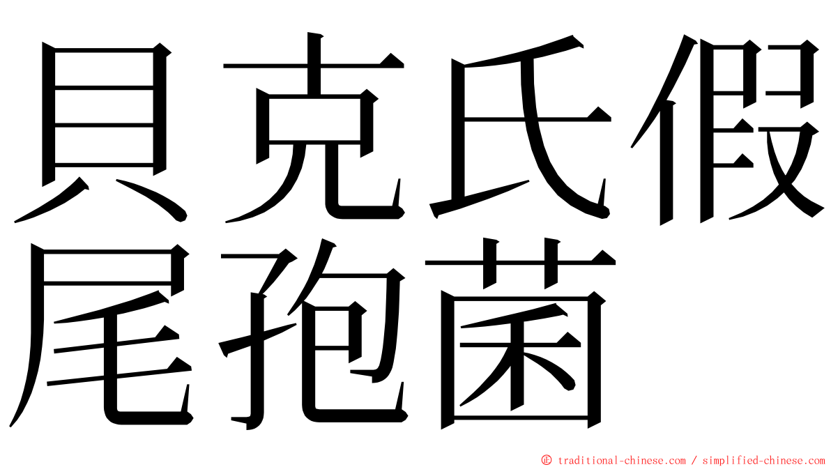 貝克氏假尾孢菌 ming font