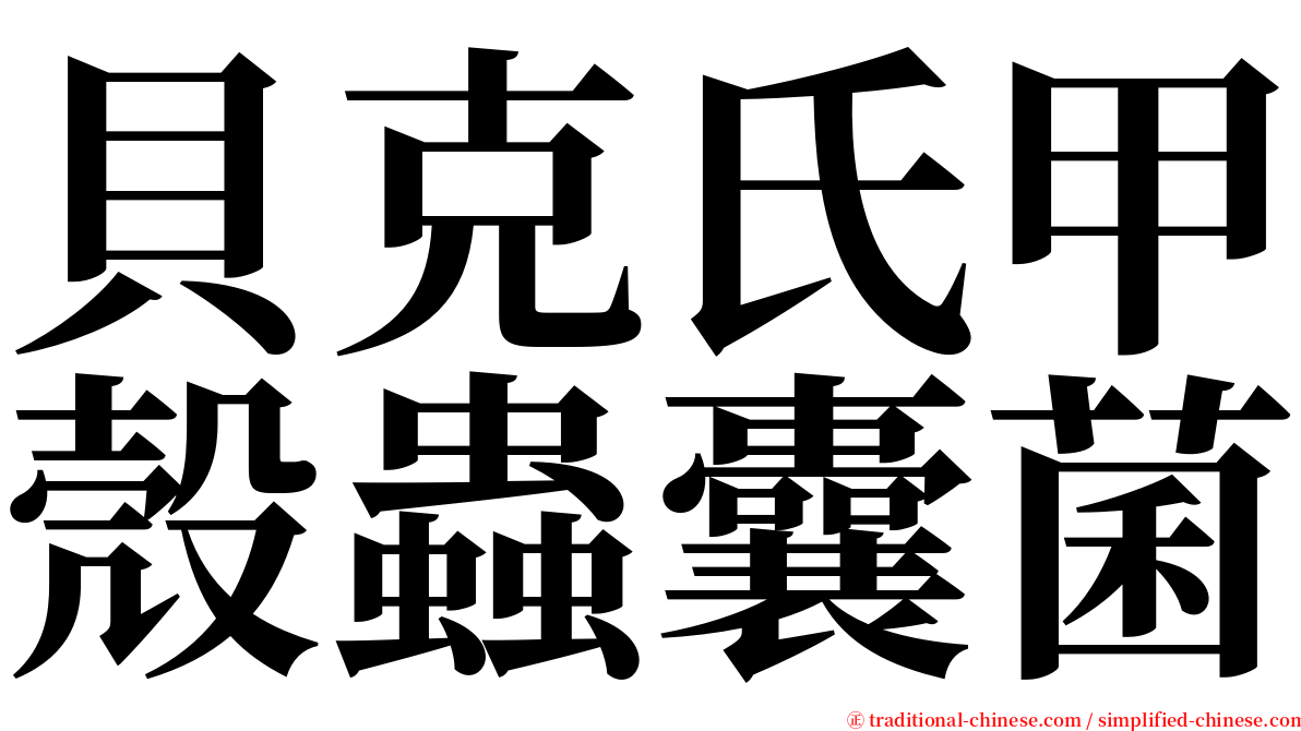 貝克氏甲殼蟲囊菌 serif font