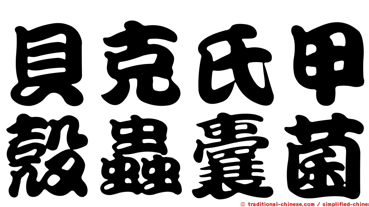 貝克氏甲殼蟲囊菌