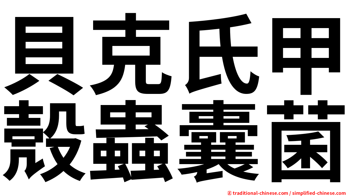 貝克氏甲殼蟲囊菌