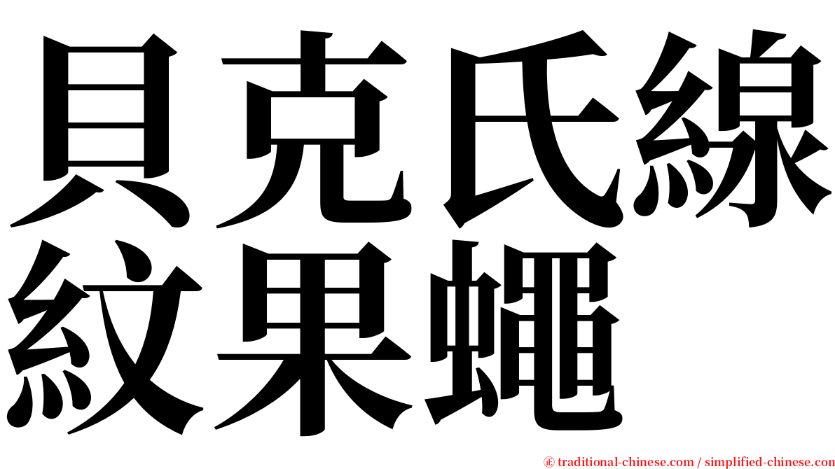 貝克氏線紋果蠅 serif font