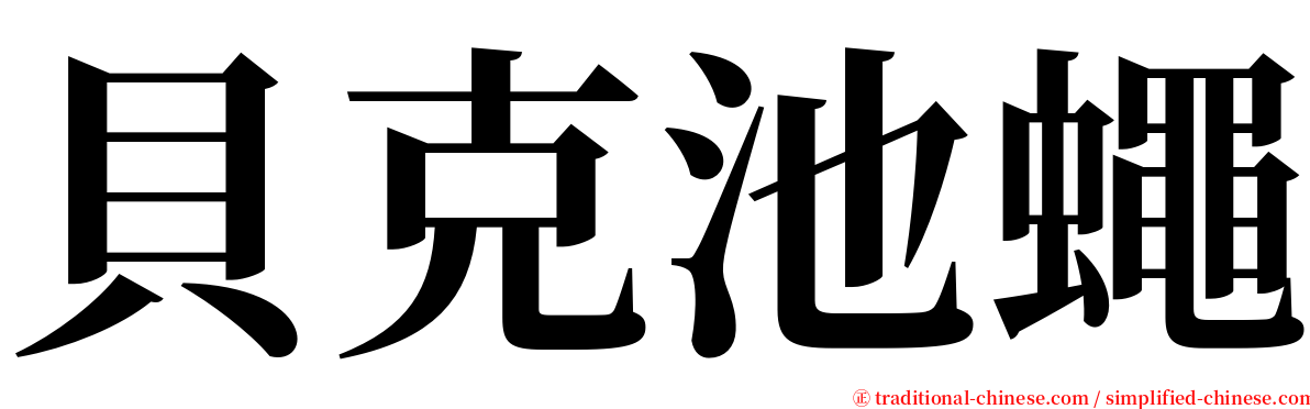 貝克池蠅 serif font