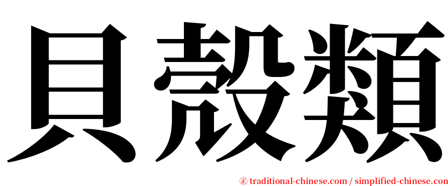 貝殼類 serif font