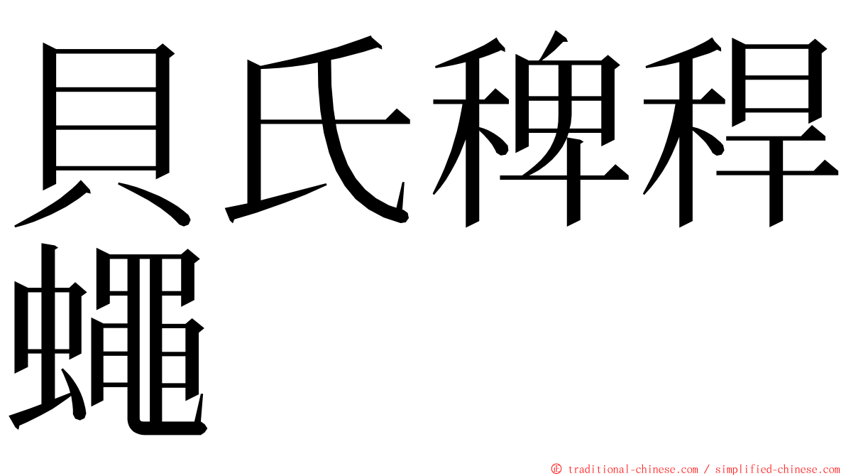 貝氏稗稈蠅 ming font